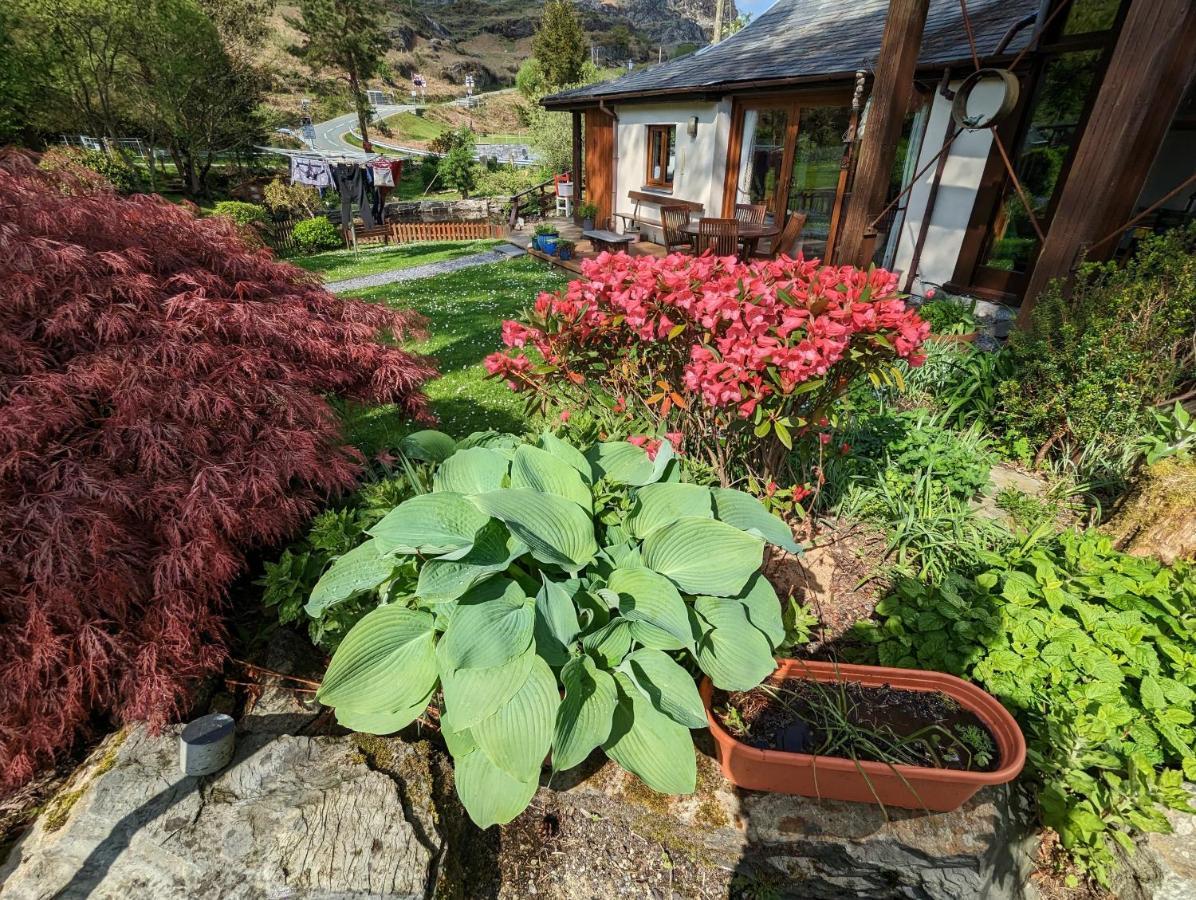 Bryn Elltyd Eco House Blaenau Ffestiniog Exterior foto
