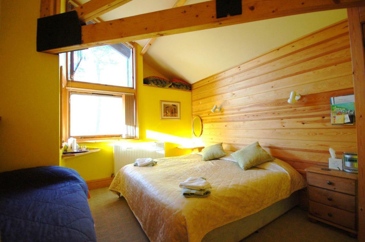 Bryn Elltyd Eco House Blaenau Ffestiniog Exterior foto
